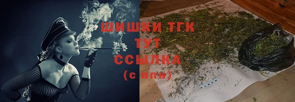 гидра Богданович