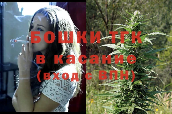 гидра Богданович