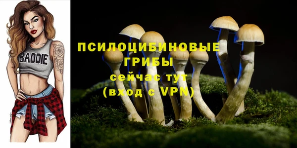 прущий лед Белокуриха